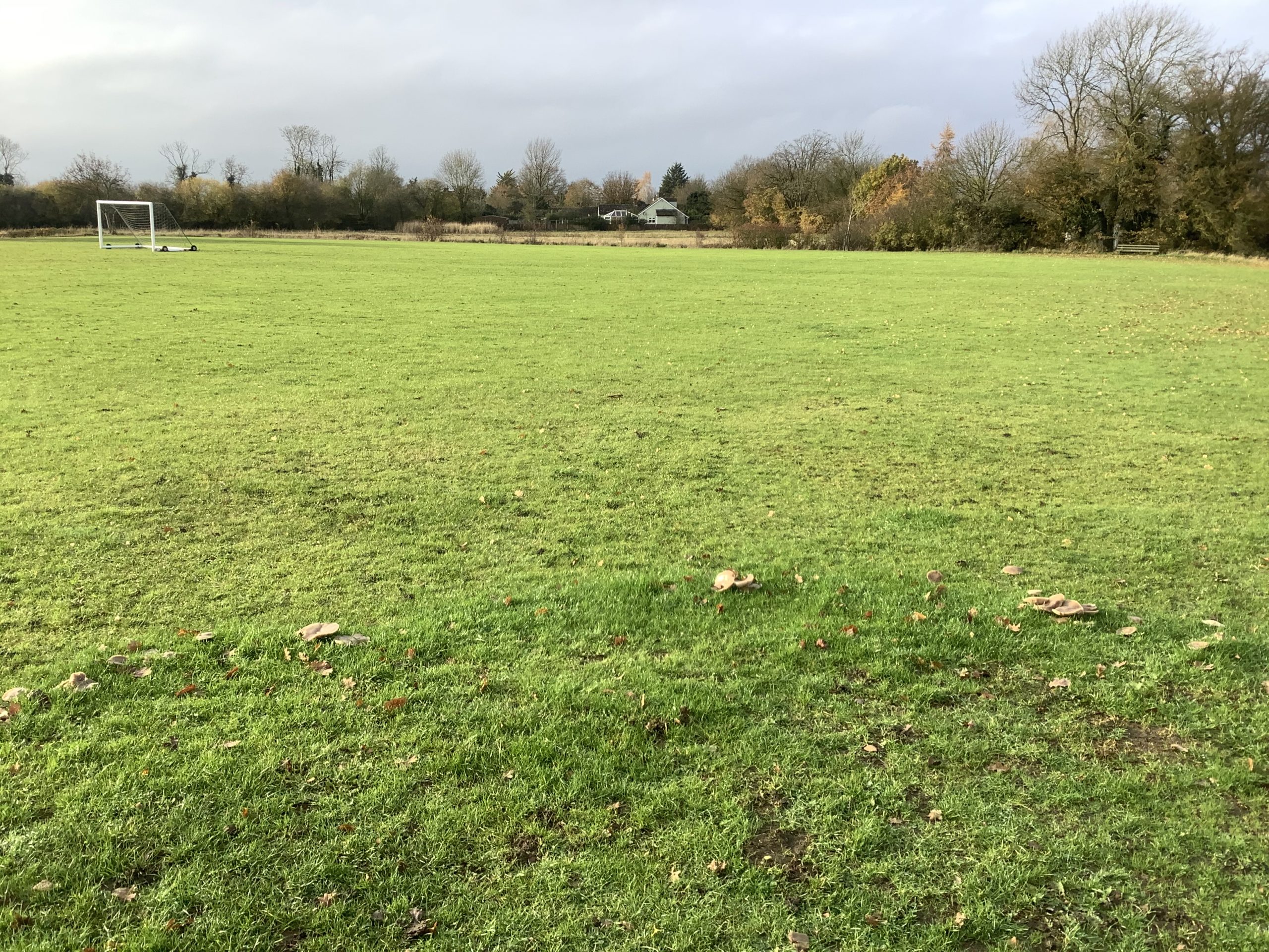Playing field adjacent to village hall